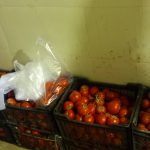 توزیع ۱۵۰کیلو گوجه فرنگی،بین نیازمندان